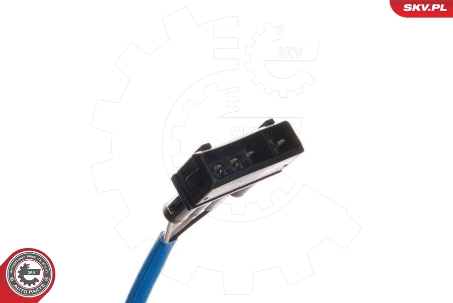 Oxygen Sensor